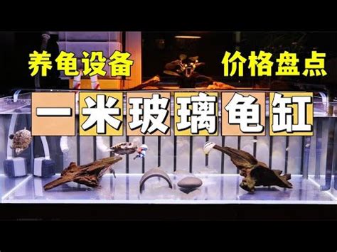 龜缸意思|龜缸DIY：省錢又環保